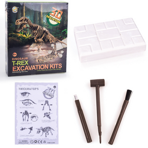 Dinosaur Excavation Toys