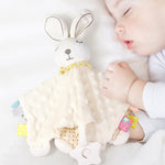 Load image into Gallery viewer, Plush Baby Blanket
